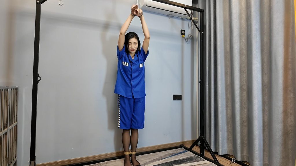 20260123133306341-20260123_092745_19708