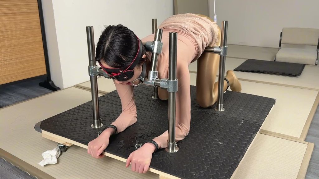 20260123174118234-XFpicture54089