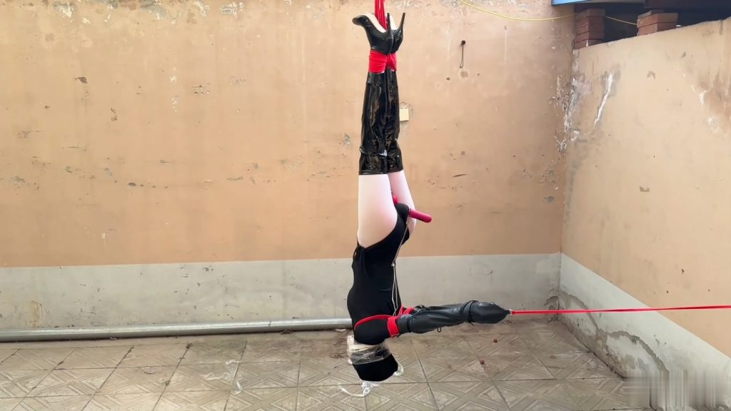 20260124083131241-145759qg5f538cp5c9pjpn