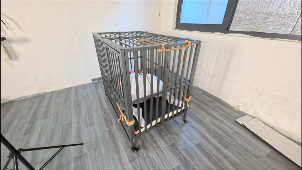 20260124083313473-153116smlbf41643444tfq