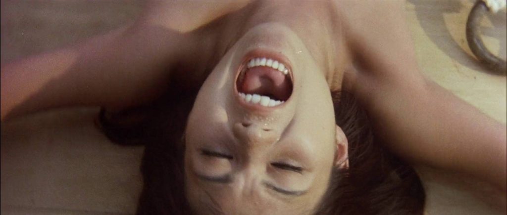 20260124174203938-13