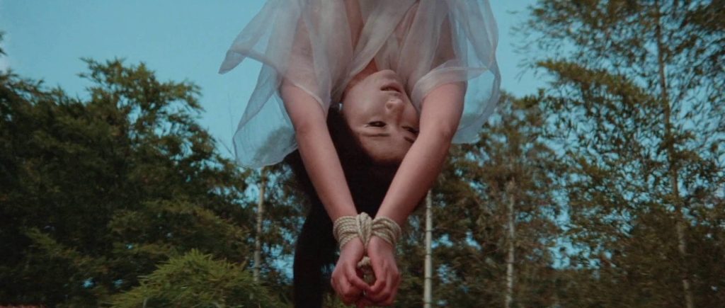 20260124174409146-21