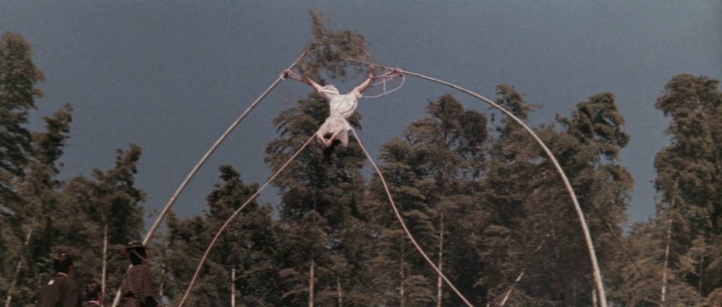 20260124174410773-22