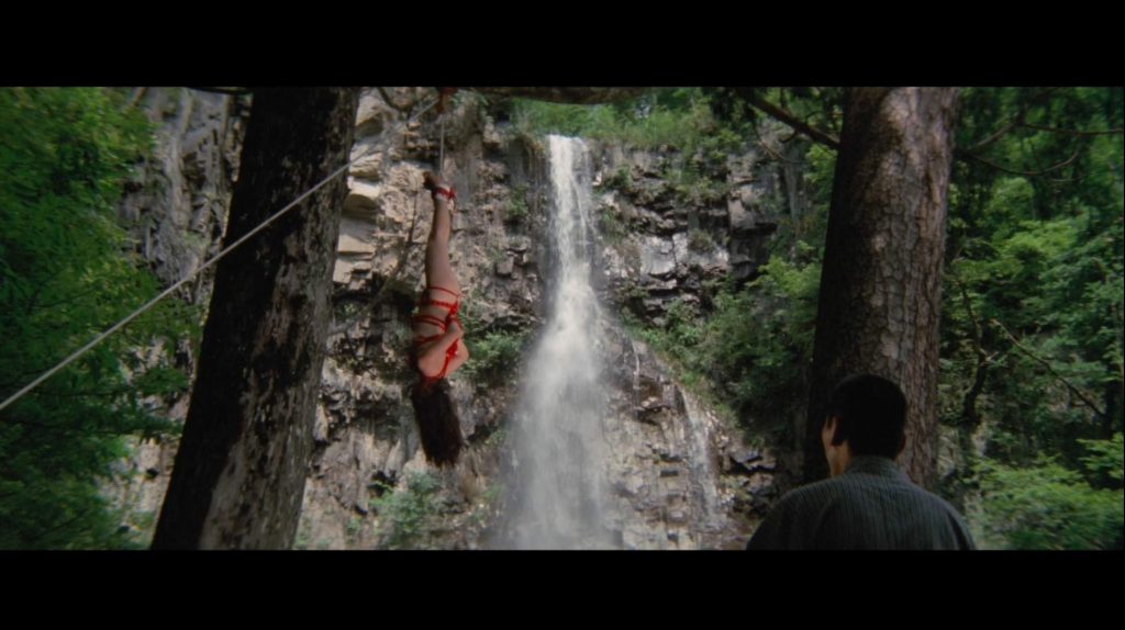 20260124174534181-12