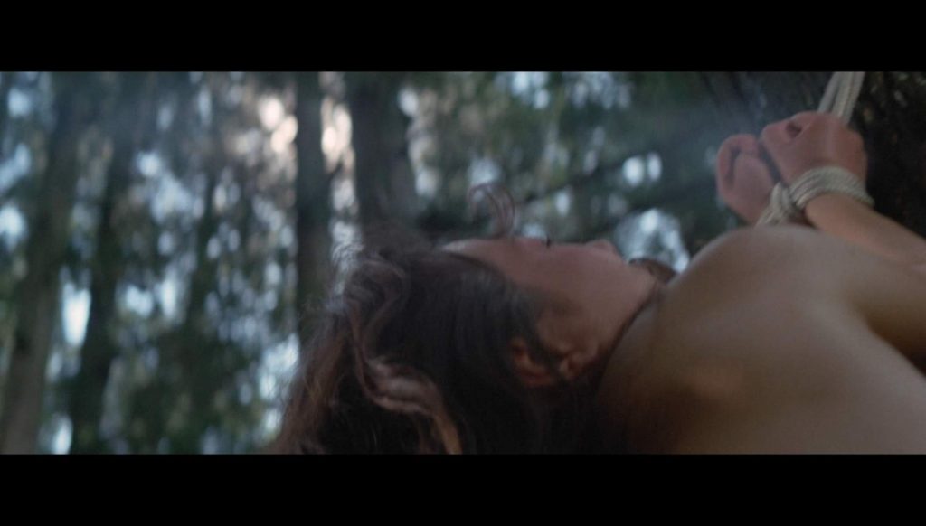 20260124174535557-14