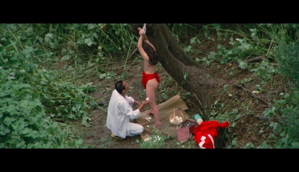 20260124174553855-15