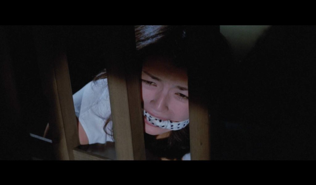 20260124174557651-22