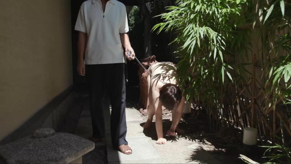 20260124191401746-13