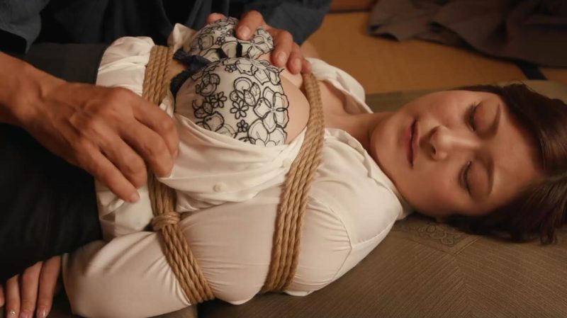 【日韩绳艺】心甘情愿接受完全SM紧缚酷刑热烛犬化M字宙吊鞭刑调教绝对服从命令的奴隶人妻-逍遥自在