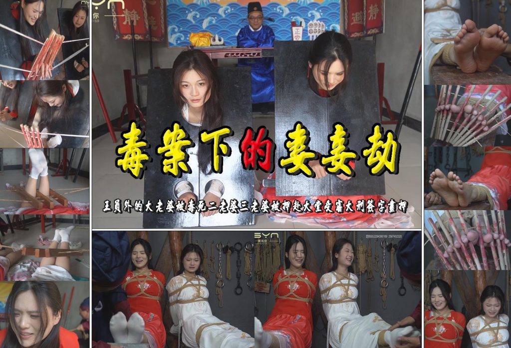 一绳有你 【毒案下的妻妾劫】王员外的大老婆被毒死二老婆（柳依）三老婆（柳亦菲）-逍遥自在