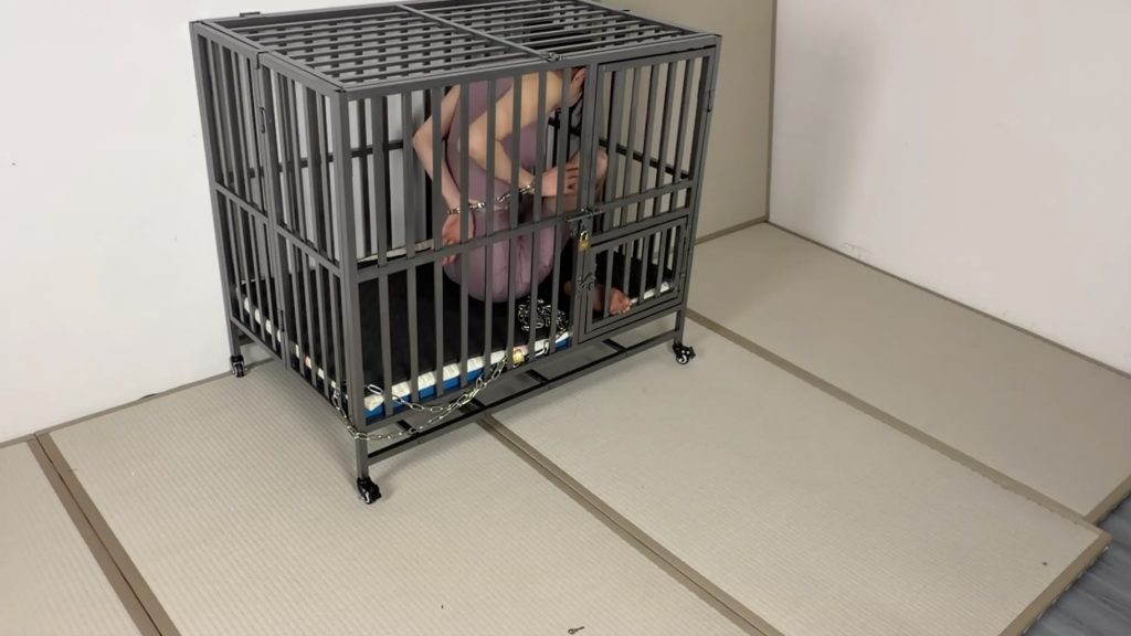 20260126084413572-024517vrruwwr3m3e3cr33