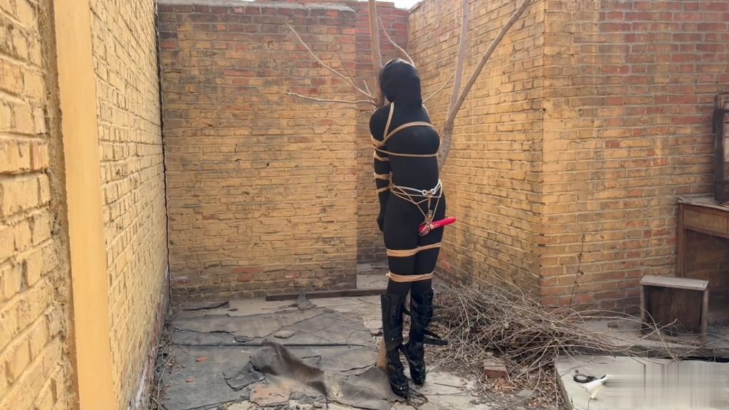 20260126090103364-032148zdk1knykr8kxx82k