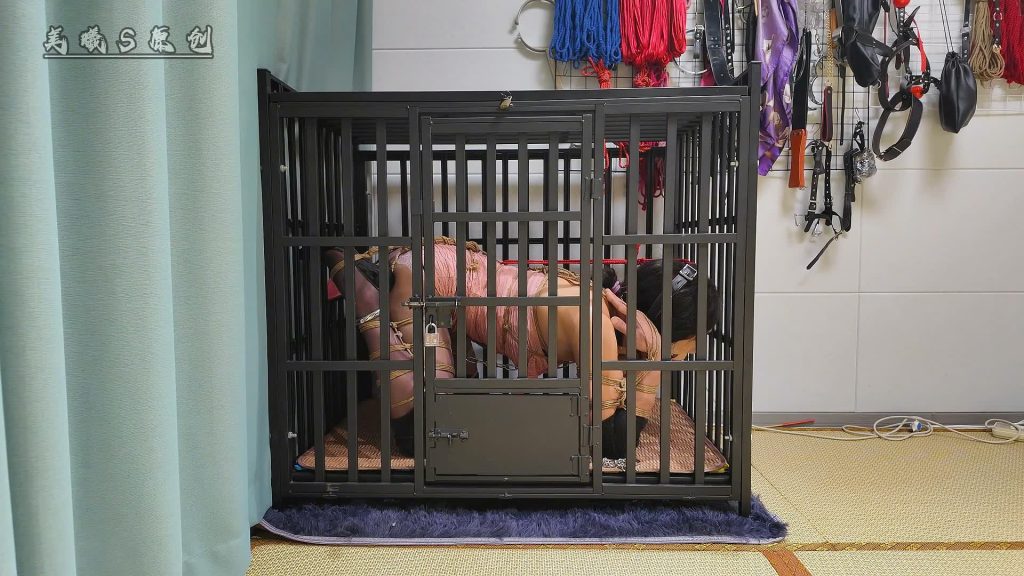 20260126124007179-XFpicture03086