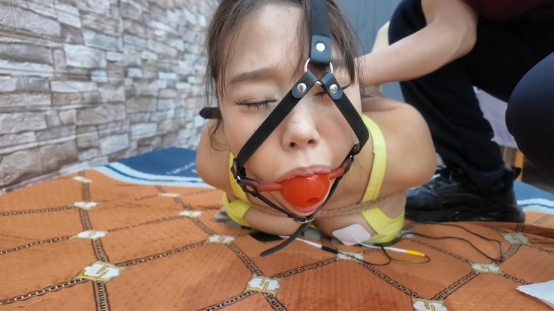 HD飞天 驴驴K9架多种口球电击,棒棒,啵啵贝体验,最后讲亲身感受-逍遥自在