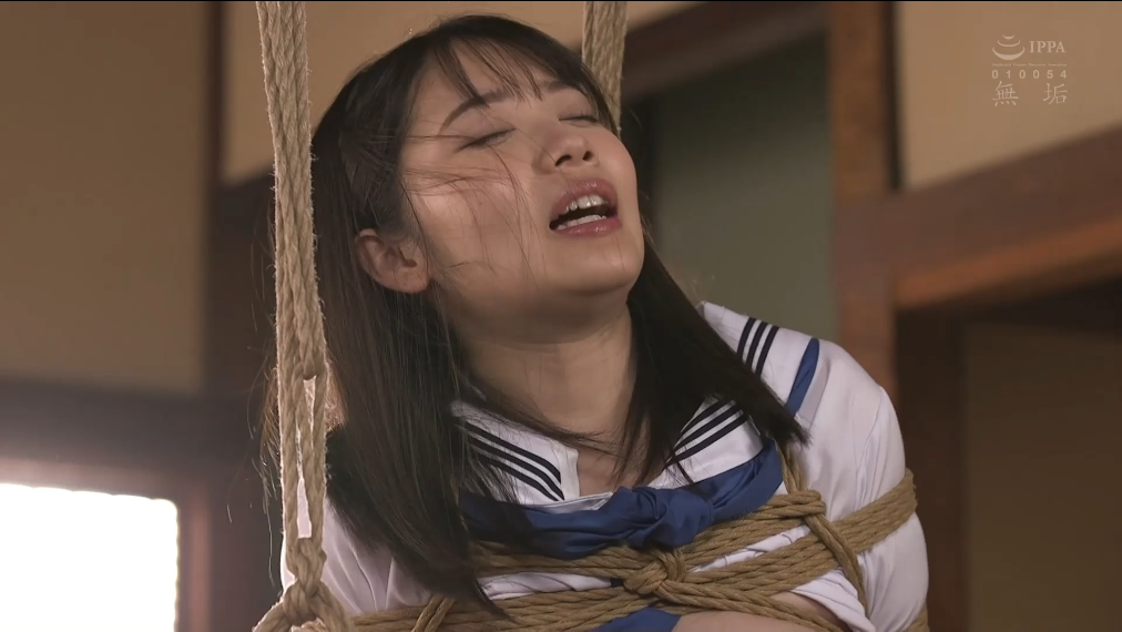 20260201014657844-10