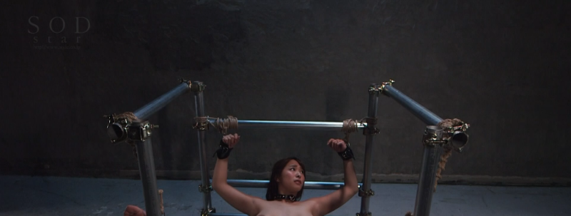 【日韩绳艺】绝对服从强制束缚拘束人体固定FUCK羞耻侮辱姦淫调教拷问-逍遥自在