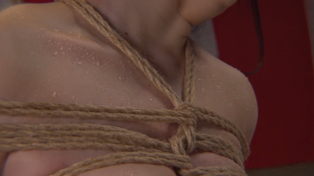 20260202220457978-10