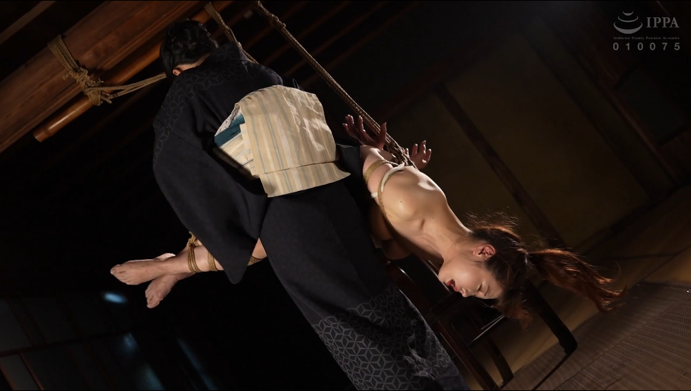 20260203202904343-12