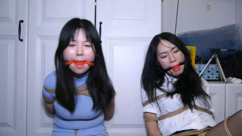 胜景影视 入室的恶魔 下集 女白领闺蜜也被女恶魔迷晕捆绑起来折磨-逍遥自在