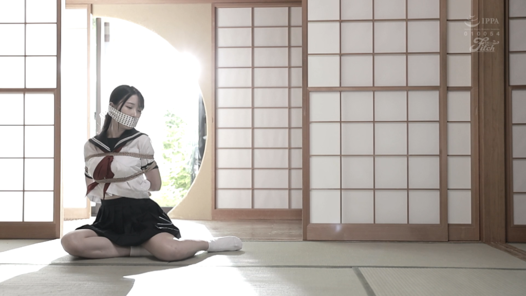 【日韩绳艺】绳缚紧缚SM完全支配服从蜡烛羞耻宠溺惩罚调教训练母畜奴隶-逍遥自在