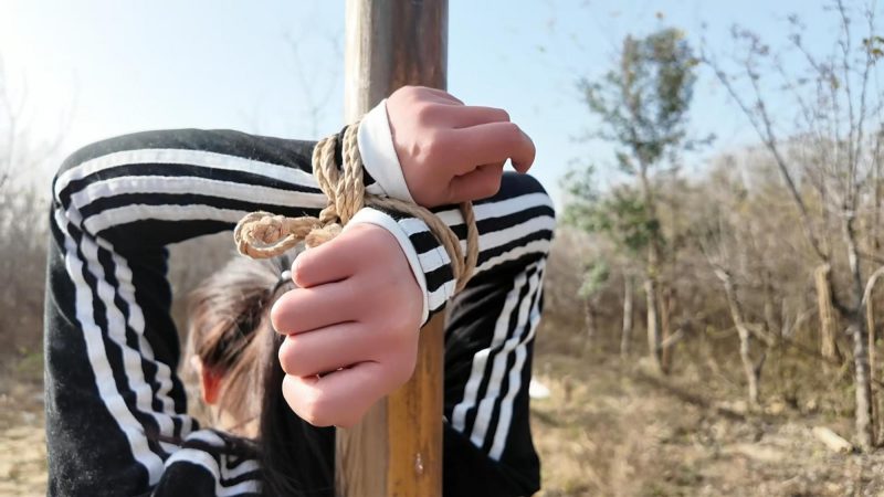 李大侠 绑架十一第二季上-逍遥自在