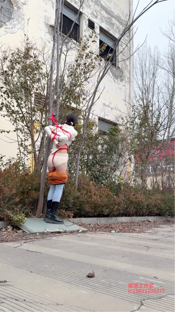 20260207093925436-20260206_142444_14071(1)