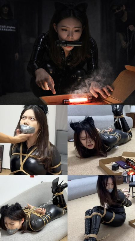 【Jim/金宝】猫女盖盖爆弹危局 神秘编剧”出镜“-逍遥自在