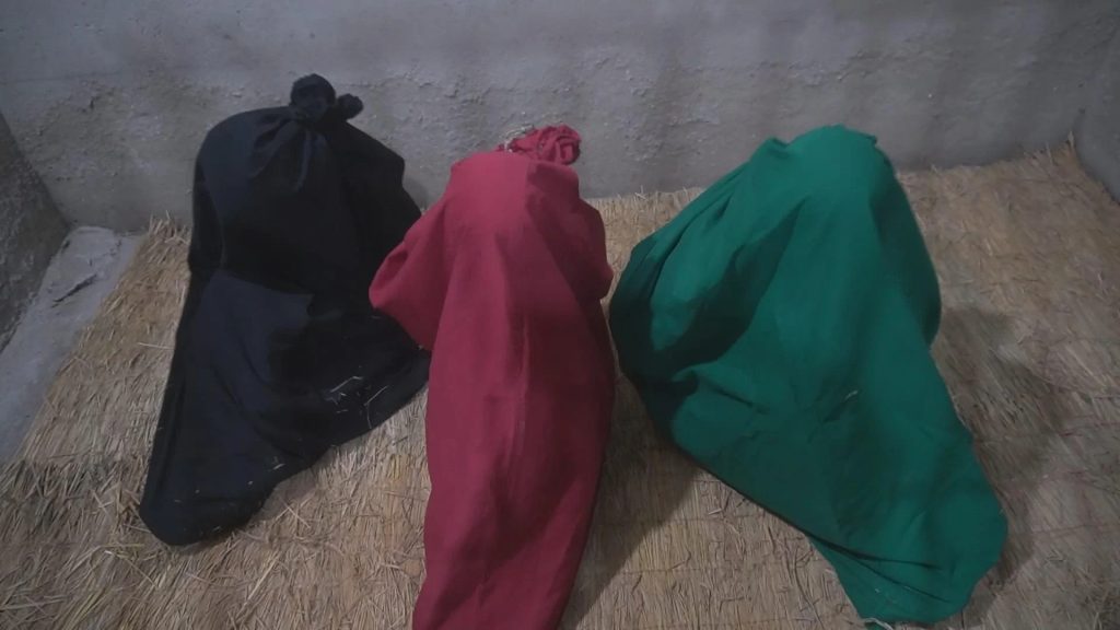 20260208102658890-ba1541cc2e007a013e04ee9f52948a41