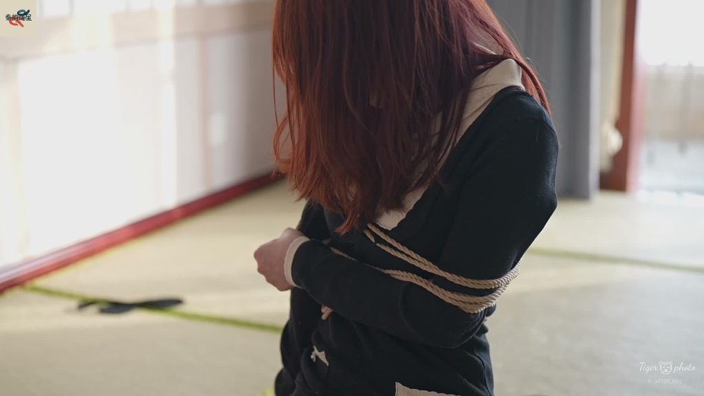 20260209105924212-XFpicture20331