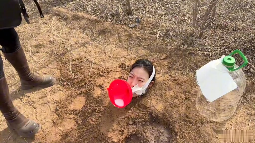 20260211075146191-101723hn51qwnqs85wahw5