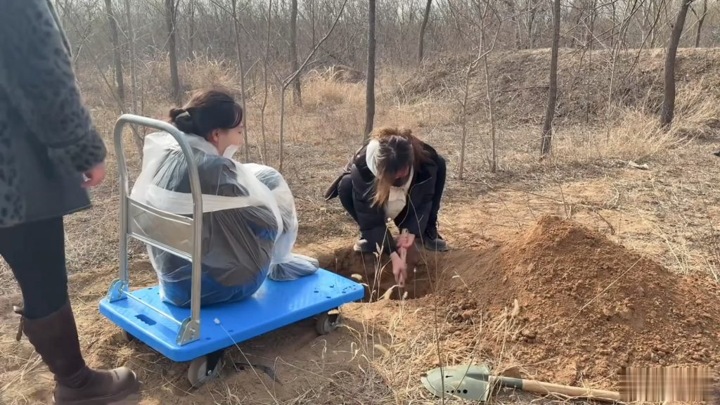 20260211075150177-101722vjscefd1jtx1dfac