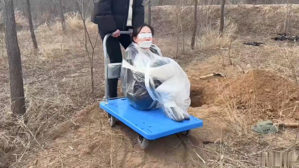 20260211075151873-101721yc9geqxsycch6vet