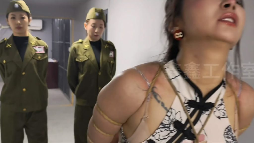 【鑫鑫工作室】本剧记录了我方一号情报员雅思被叛徒出卖，在销毁文件时被军统特务抓捕-逍遥自在