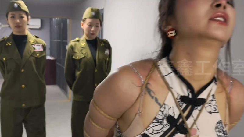 【鑫鑫工作室】本剧记录了我方一号情报员雅思被叛徒出卖，在销毁文件时被军统特务抓捕-逍遥自在