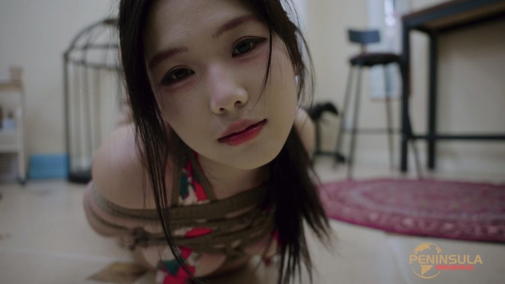 20260213091152569-20260210_012421_11519