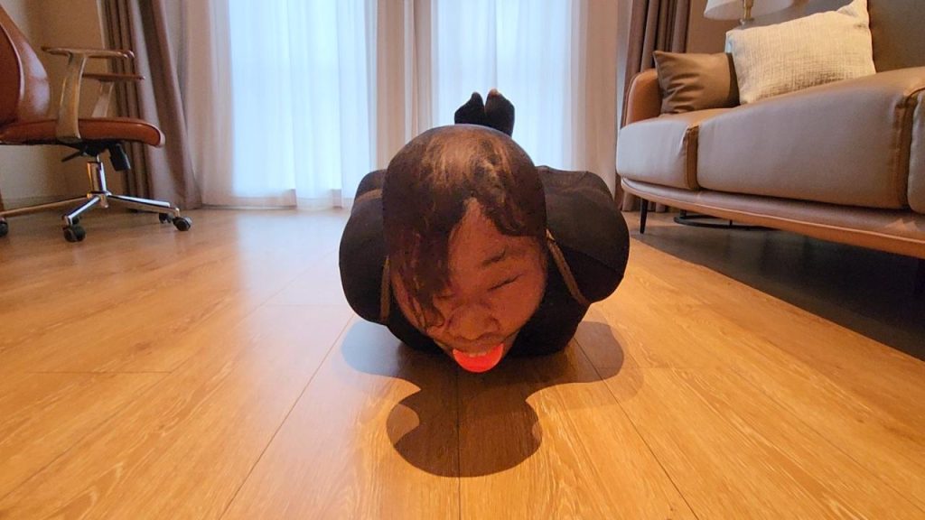 20260214103231703-20260214_090602_11953