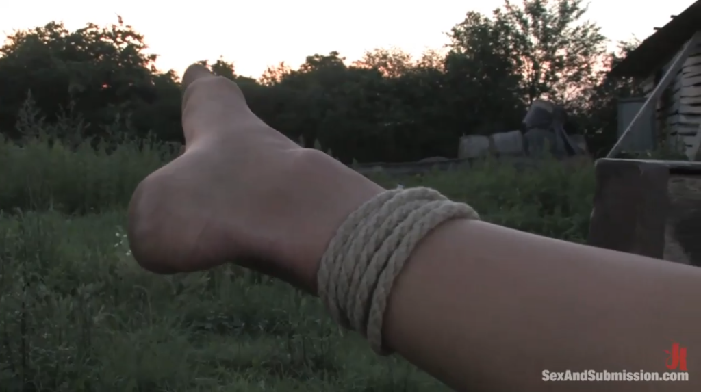 20260214203902445-11