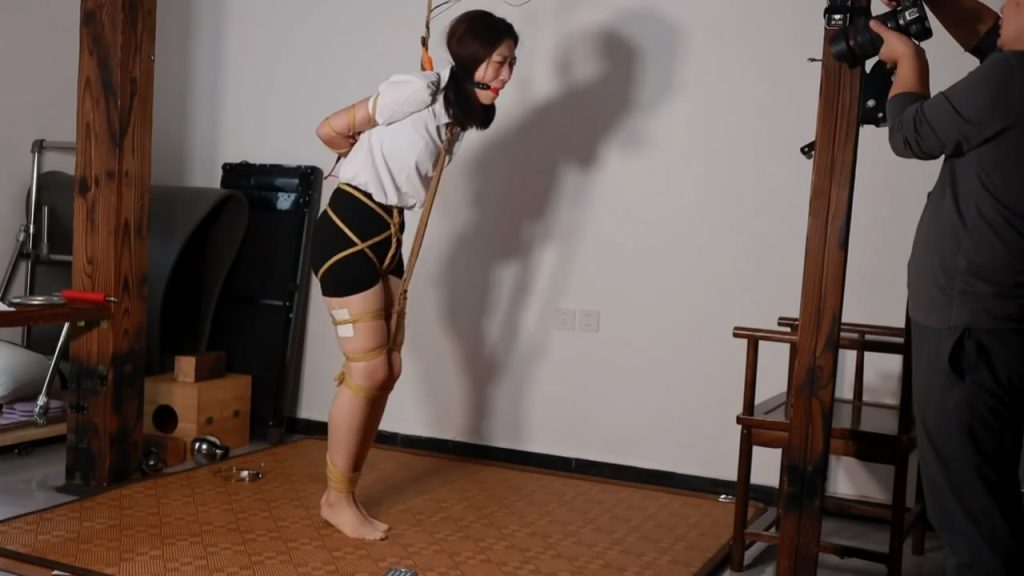 路由工作室：白领小纯踮脚直立吊限位电击调校-逍遥自在