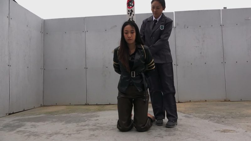 梨花雨 秋尽菊花落-逍遥自在