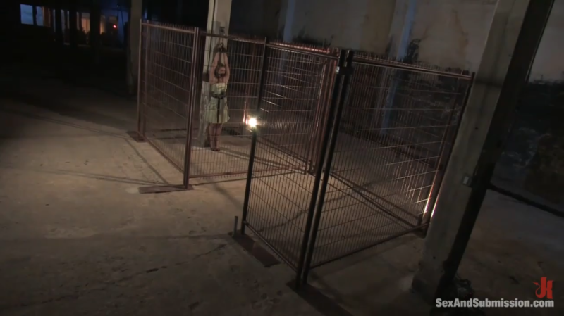 【欧美绳艺】长官的囚禁驯服坚强的女子-逍遥自在