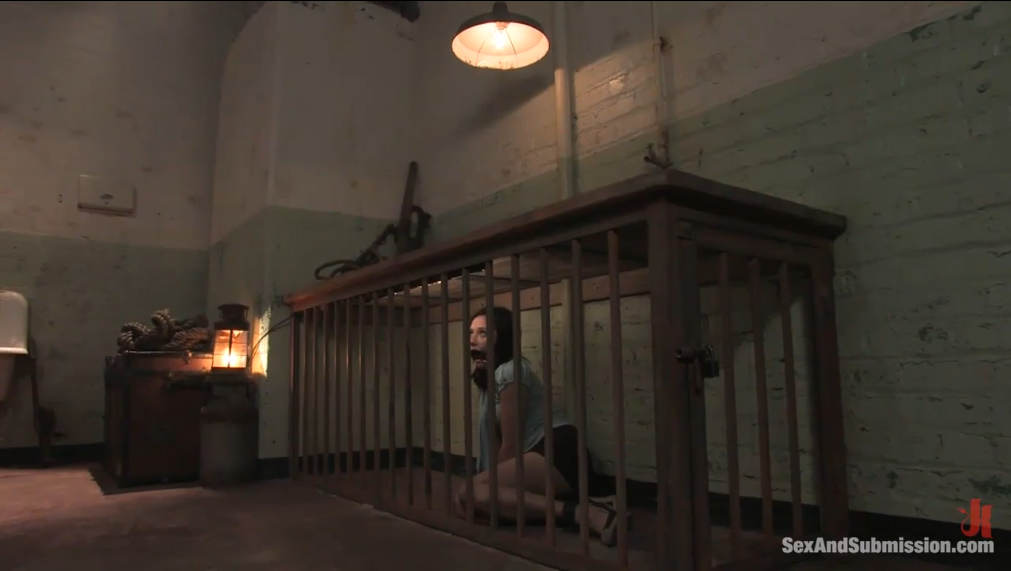 【欧美绳艺】奴隶基地的开发与训练-逍遥自在