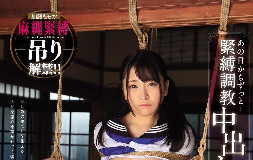 20260220232156738-Snipaste_2026-02-20_23-10-03