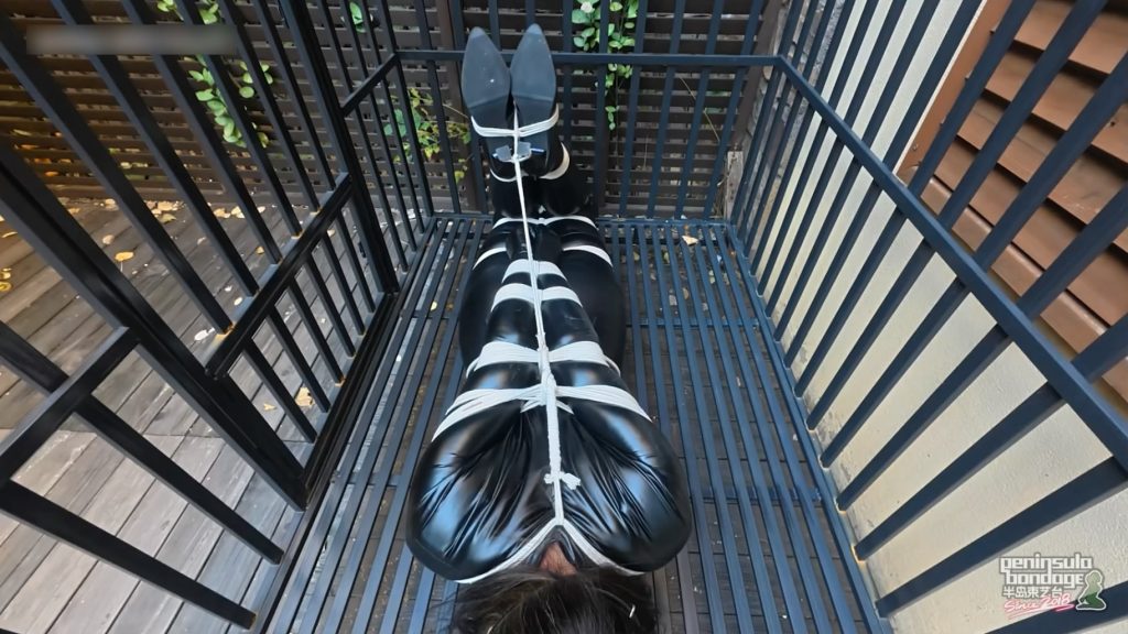 20260221071017421-031254xvc9hr5cv5noqvtc