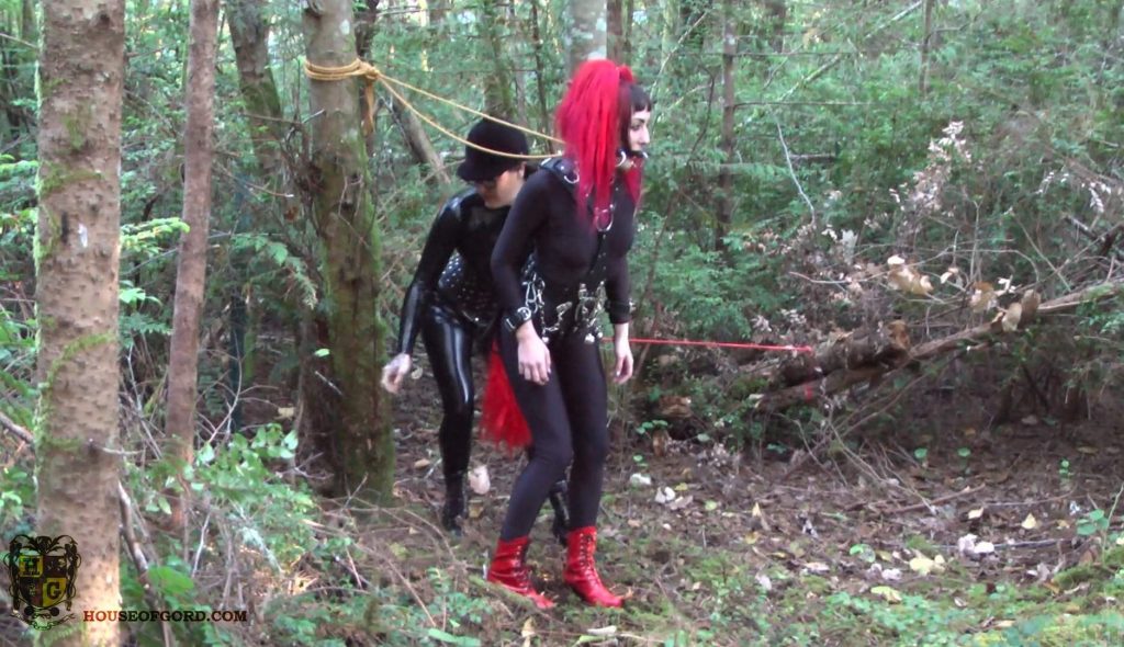 20260221204044128-12