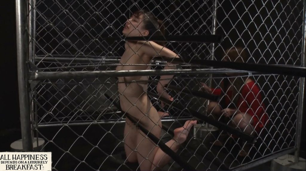 20260221214135268-12_副本