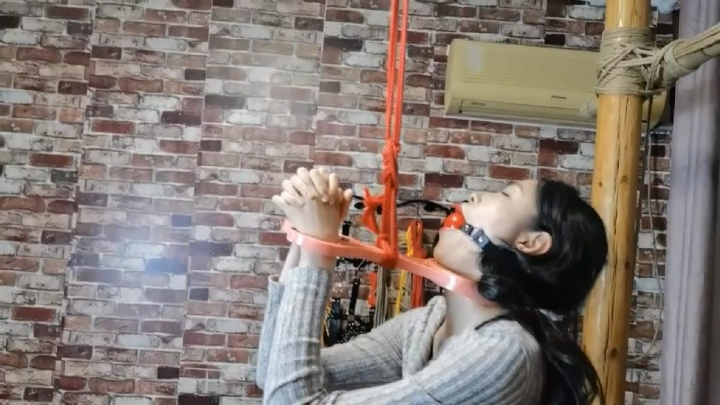 20260223085044440-042637ulzxe8eqxk78jl87