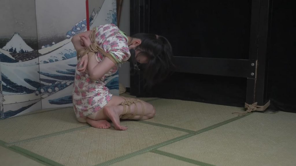 20260223091226390-024204ov2wlwyn6vl2njv2