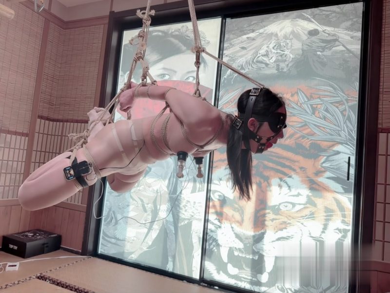 缚心室 172肉丝小白领的吊缚啵啵贝体验，后手直臂超极限束缚-逍遥自在