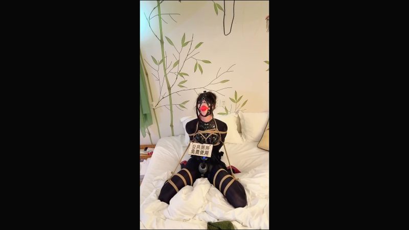 星语 母狗星语的榨汁，和户外带锁露出-逍遥自在