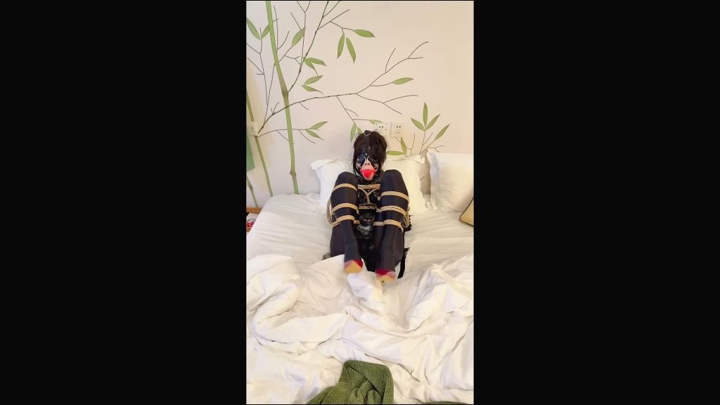 20260224084652792-XFpicture09927